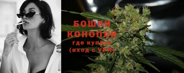 твердый Бородино