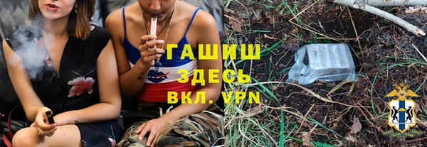 твердый Бородино