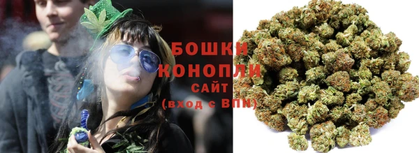 МДПВ Бронницы