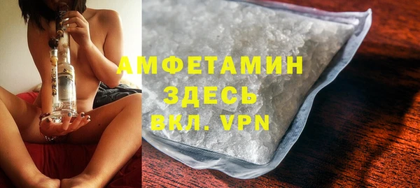 твердый Бородино
