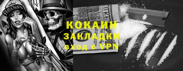 твердый Бородино