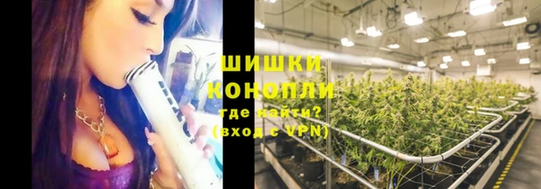 твердый Бородино